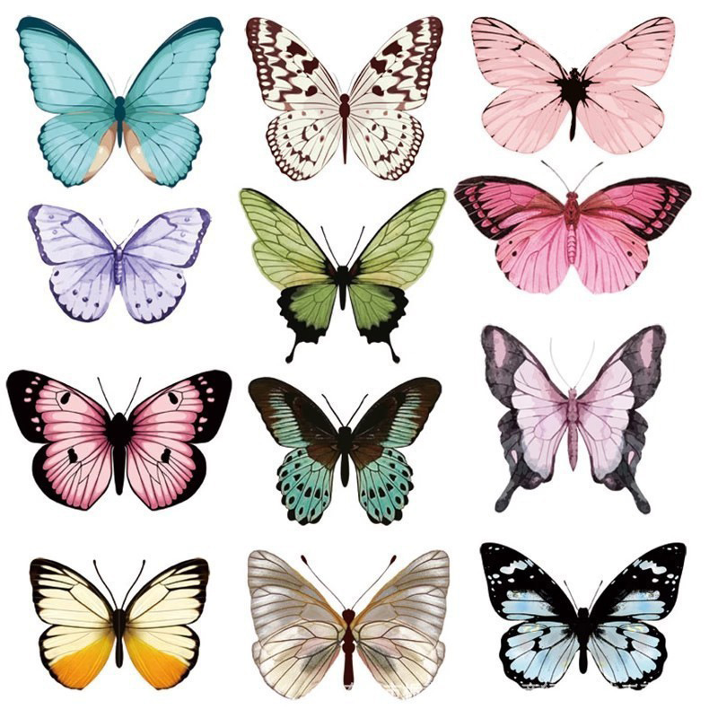 12pcs 3D Butterfly Wall Sticke - огляд і ціна Art Craft Event